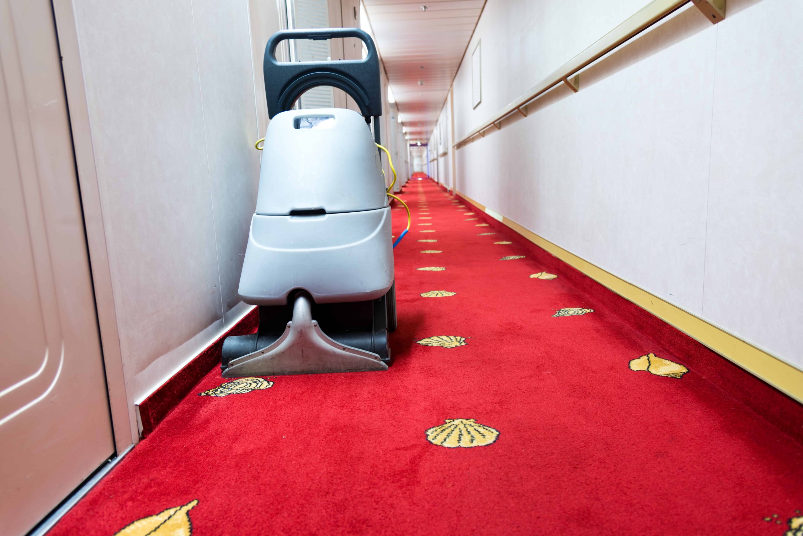 AdobeStock_143044434 - One Source San Diego, Inc. - One Source San Diego, Inc. Carpet Cleaning San Diego - One Source Inc.